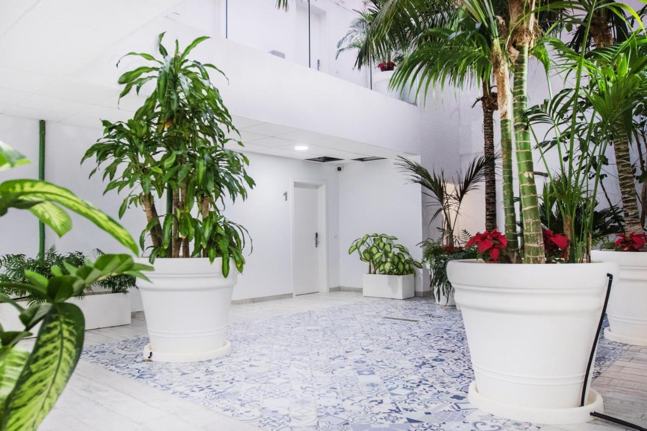 Coccoloba Suites Коралео Екстериор снимка