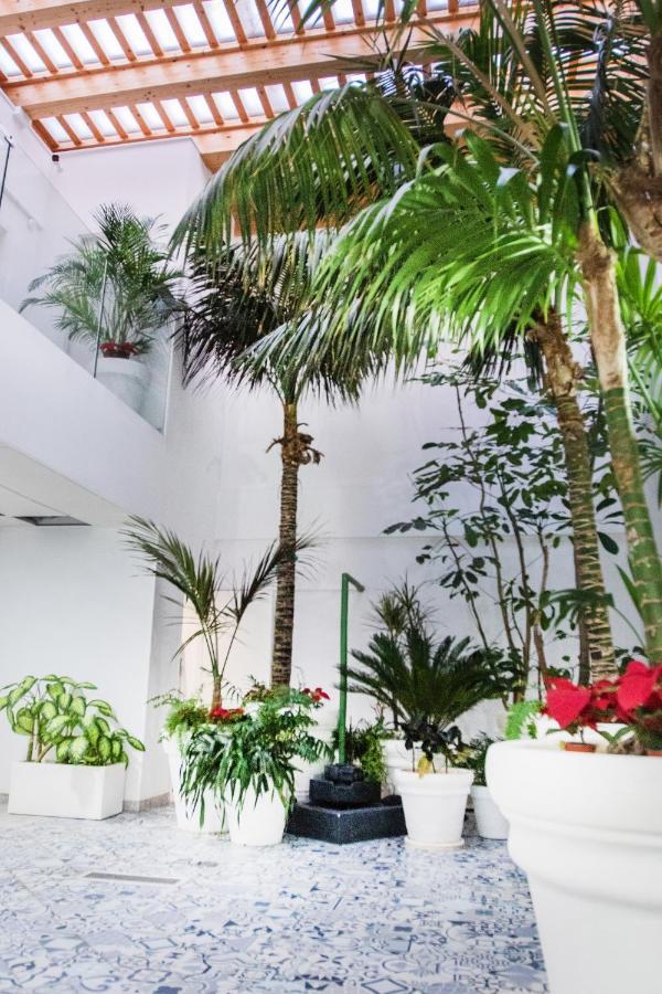 Coccoloba Suites Коралео Екстериор снимка